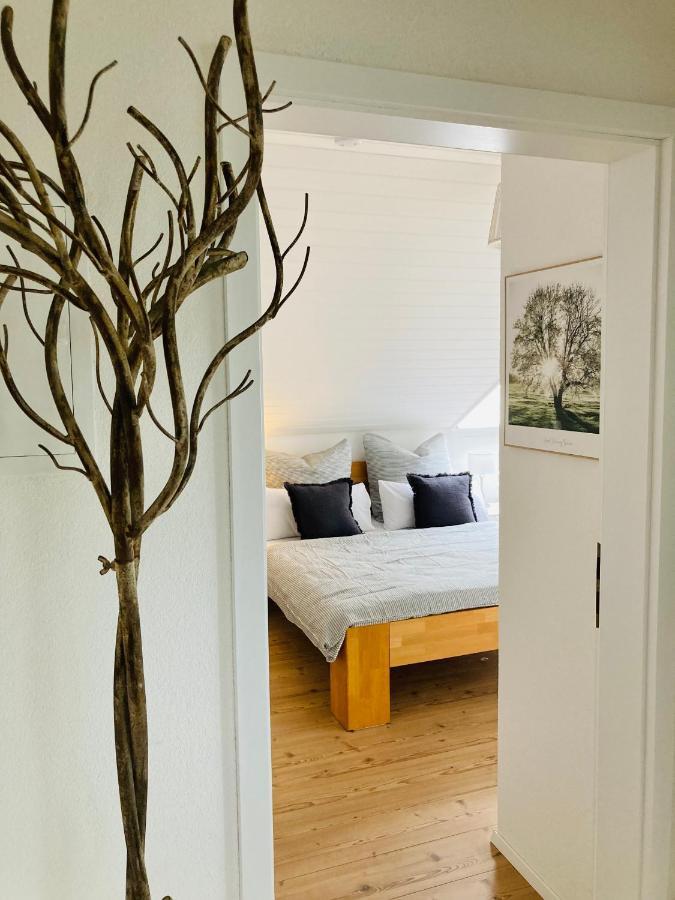 Wohlfuehlwohnung Mit Parkplatz, Zentral, Schnelles Wlan, Bodensee & Schweiz Naehe Apartment